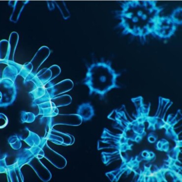 Corona virus – update oktober 2020